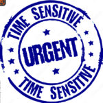 sex fuck machine supplier urgent order friendly